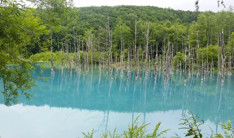 Aoi-Ike (Blue Pond)