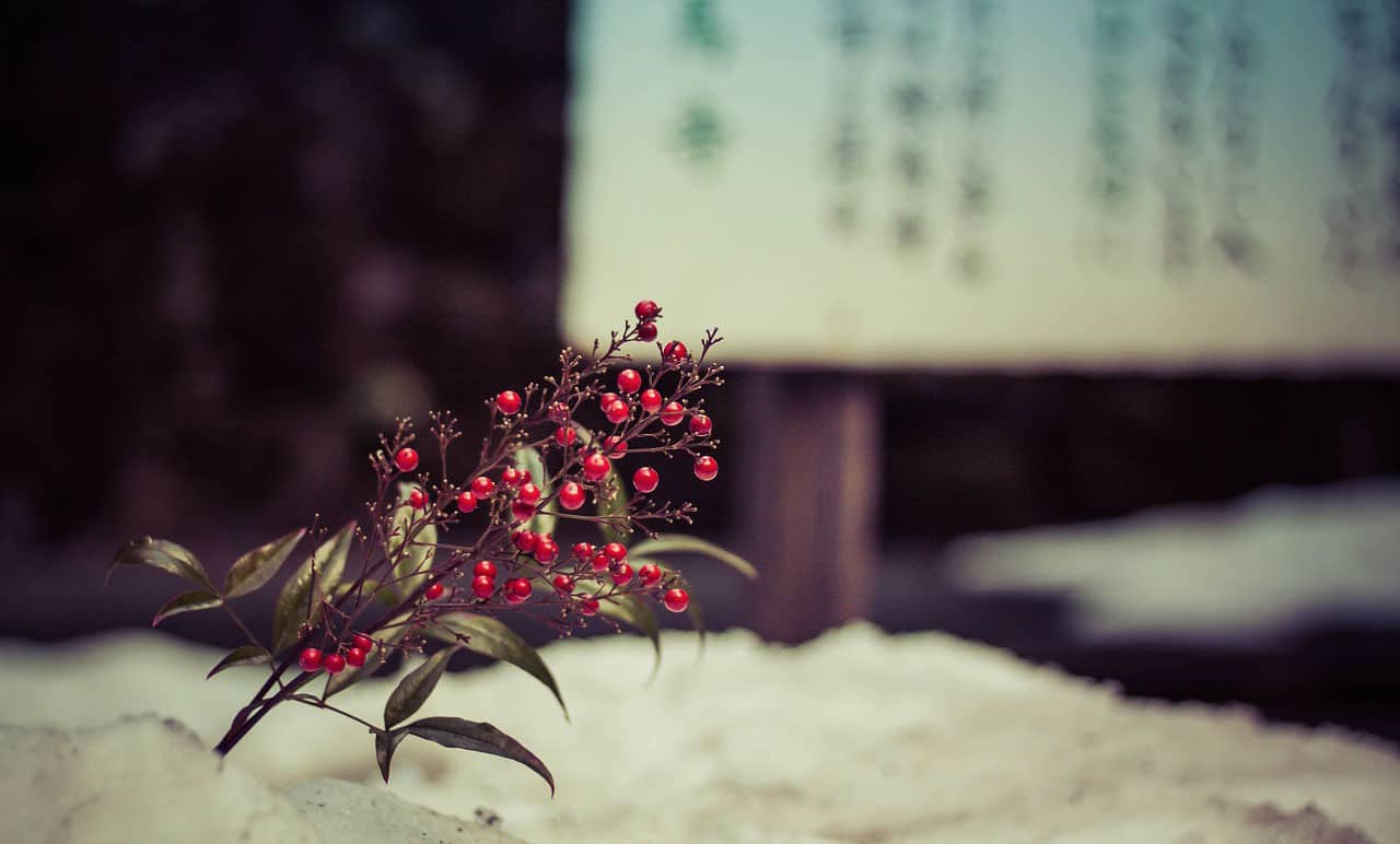 Beyond Cherry Blossoms: 13 Reasons to Embrace Winter in Japan 