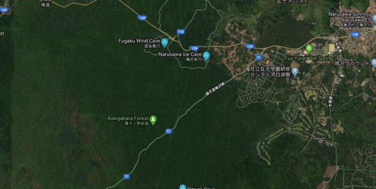 How To Get To Aokigahara Forest From Tokyo Japan Horizon how-to-get-to-aokigahara-forest-from-tokyo-japan-horizon
