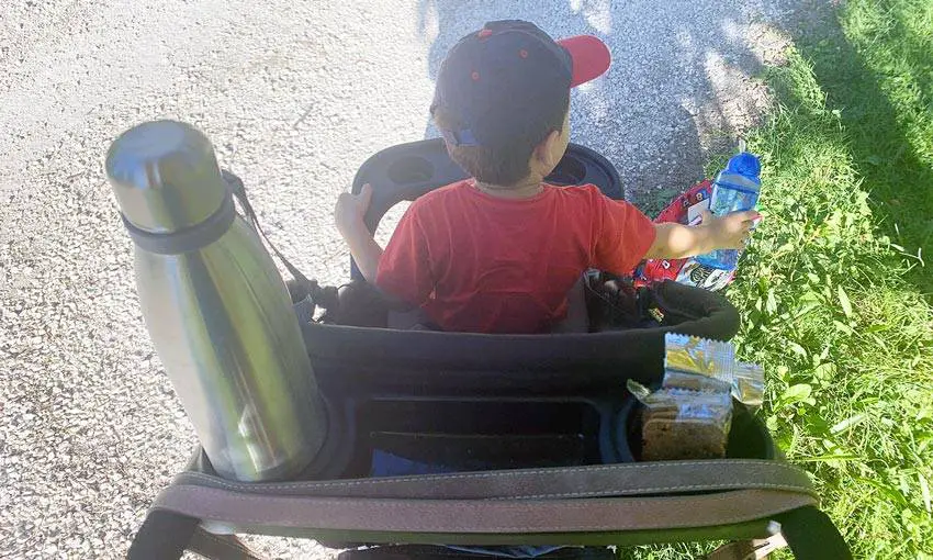 japanese travel stroller