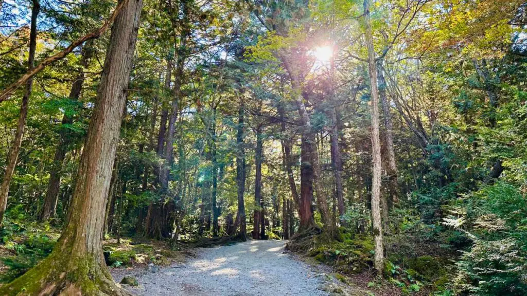 How to get to Aokigahara Forest from Tokyo?