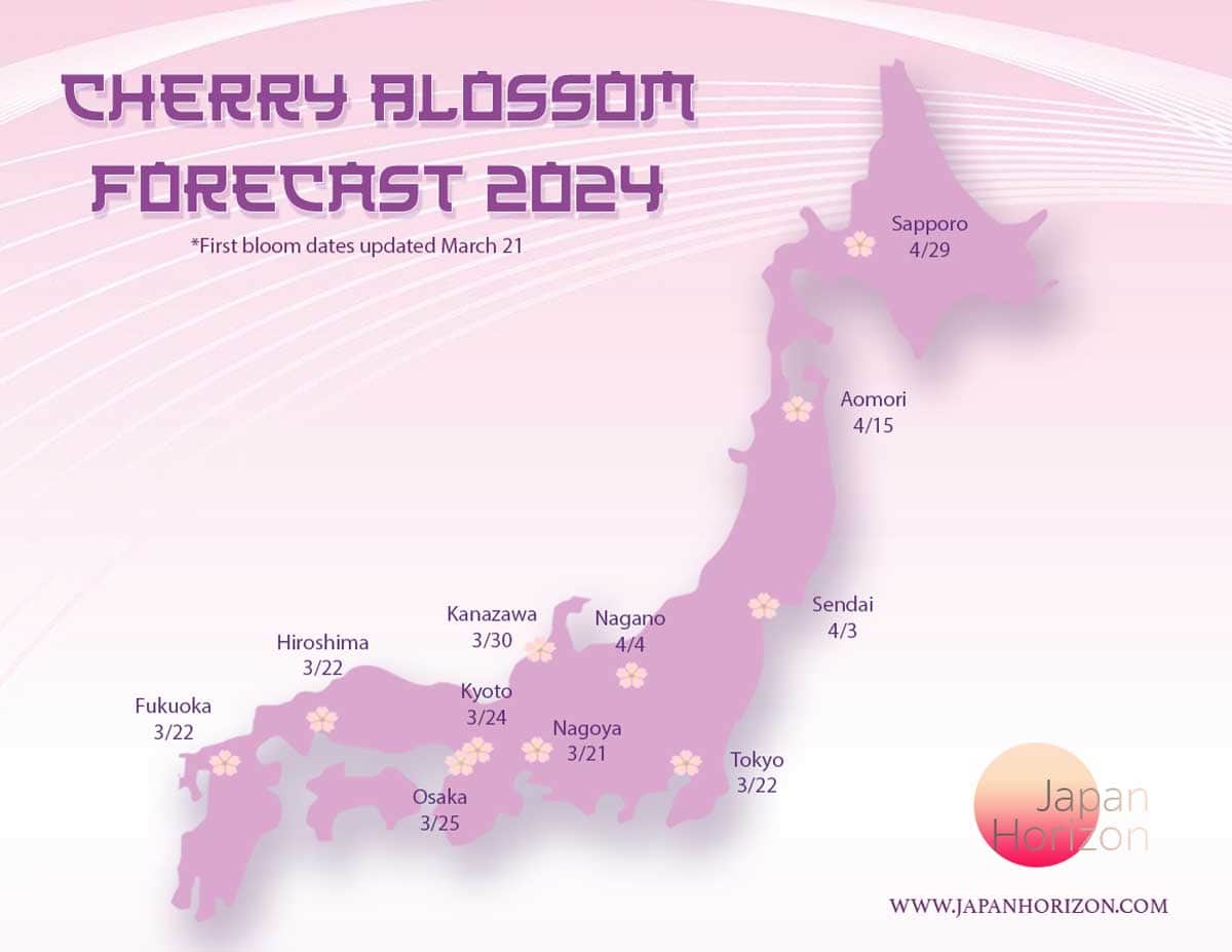 Cherry Blossom First Bloom Dates Forecast for 2024