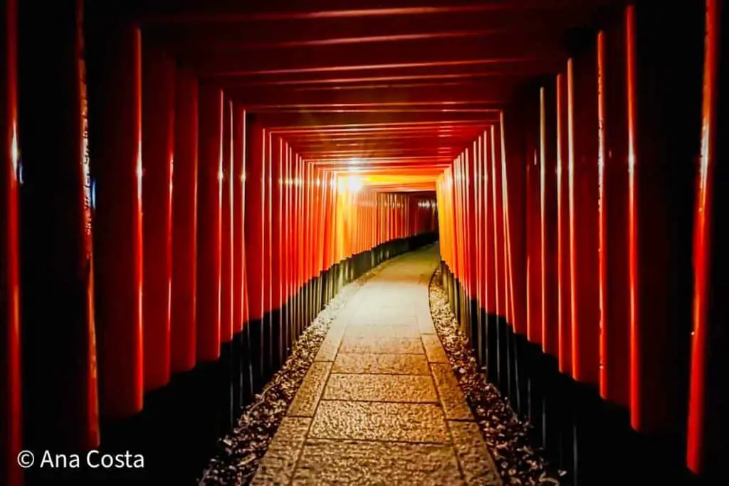 Fushimi Inari Taisha - One of the free shrines you can visit in Japan