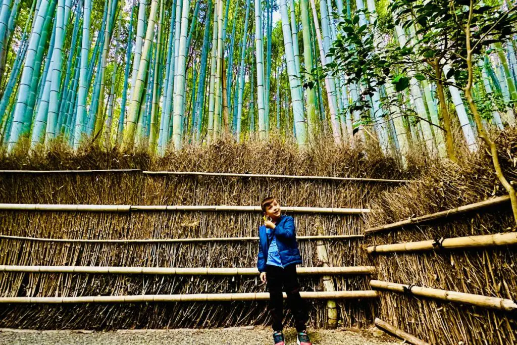 Arashiyama bamboo forest